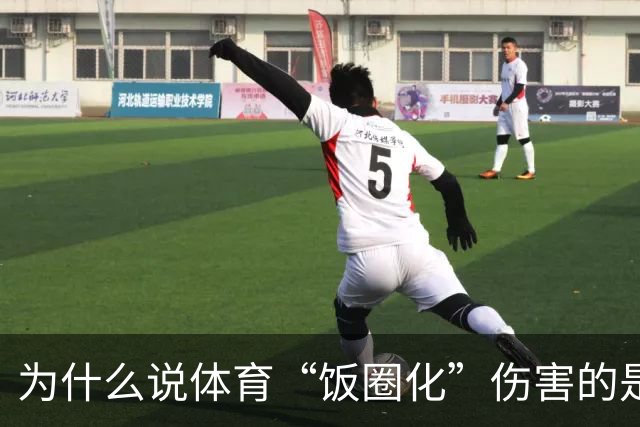 为什么说体育“饭圈化”伤害的是体育本身？